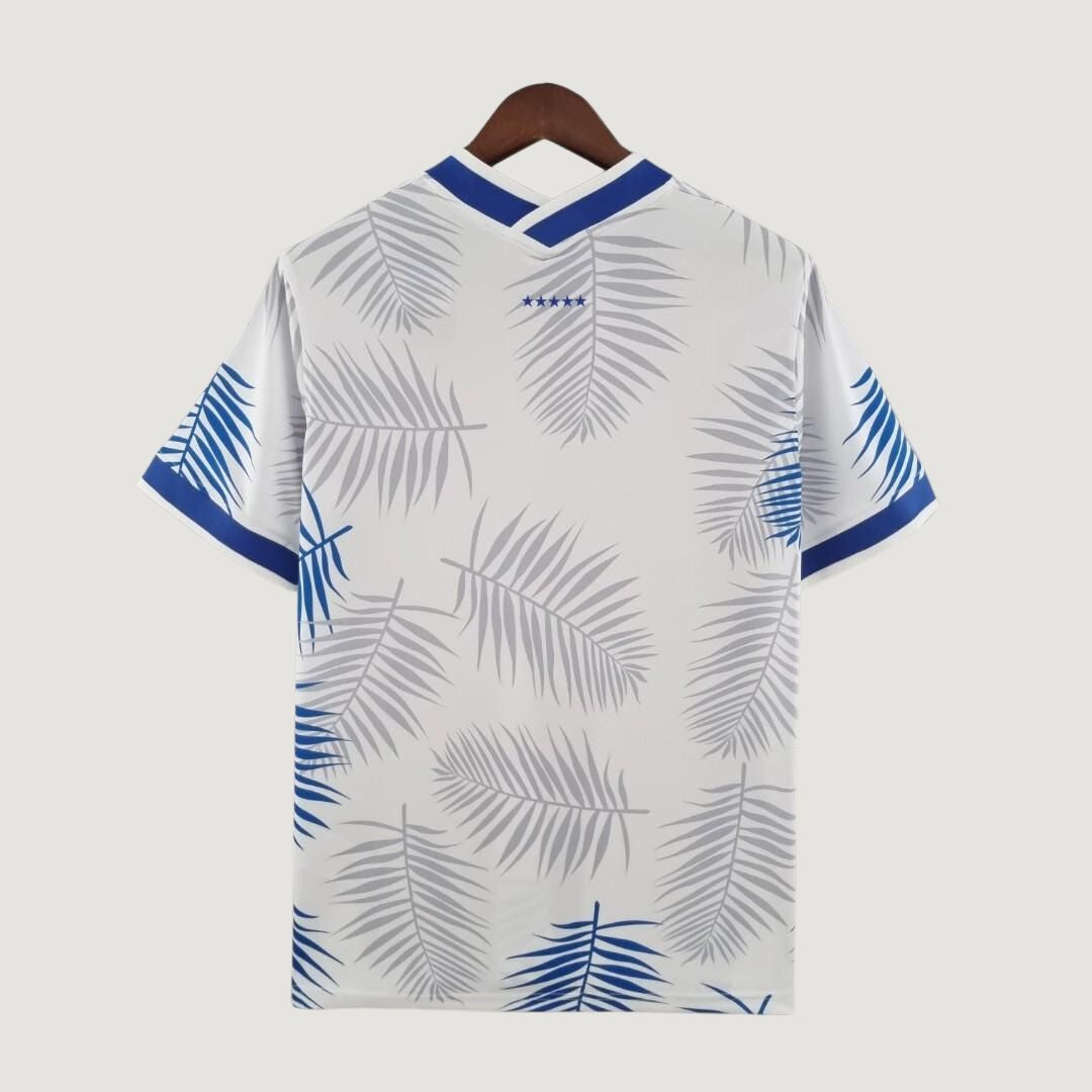 BRÉSIL - CONCEPT - BLANC, BLEU
