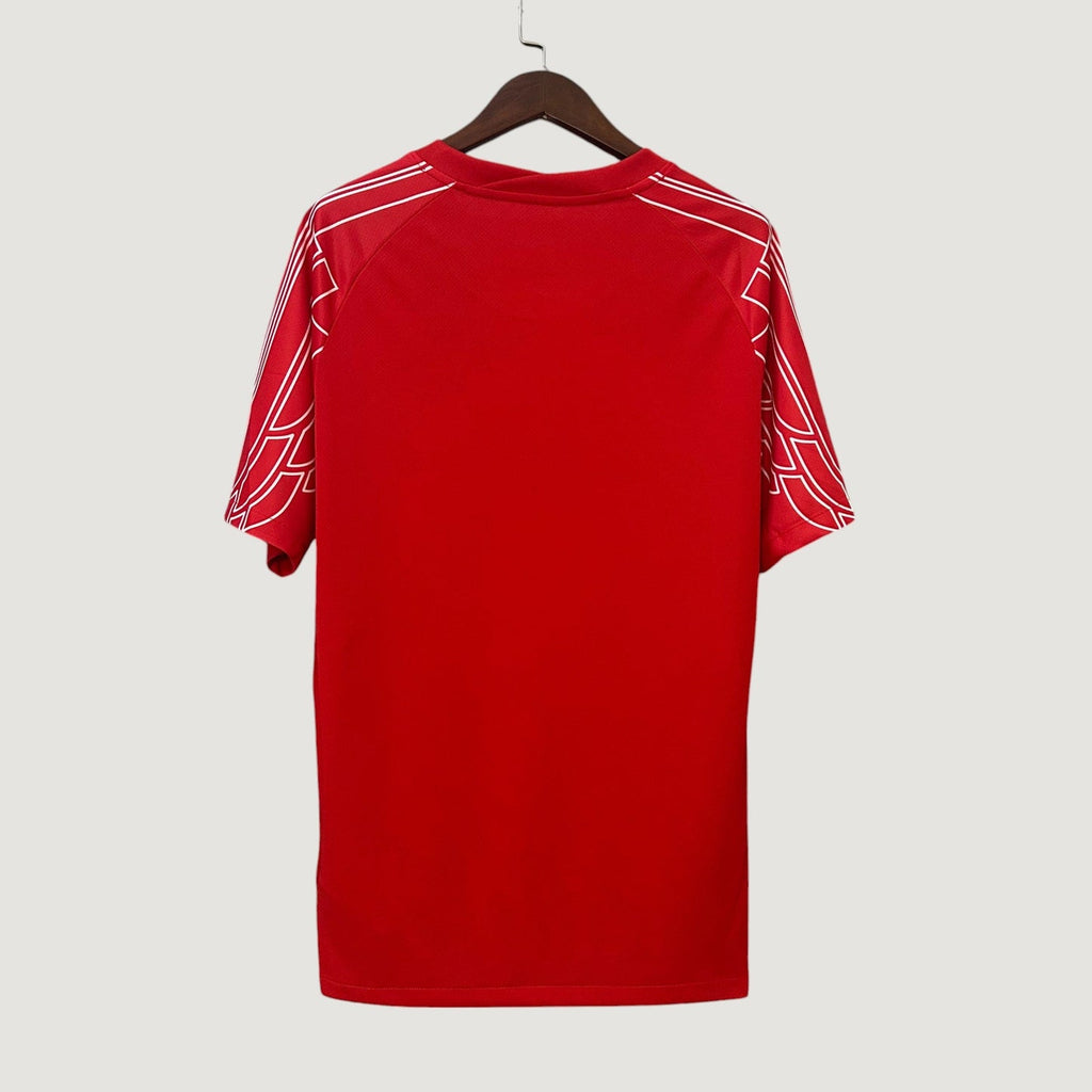 PARIS SAINT-GERMAIN (PSG) - MAILLOT D'ENTRAÎNEMENT (2) - 24/25 - ROUGE