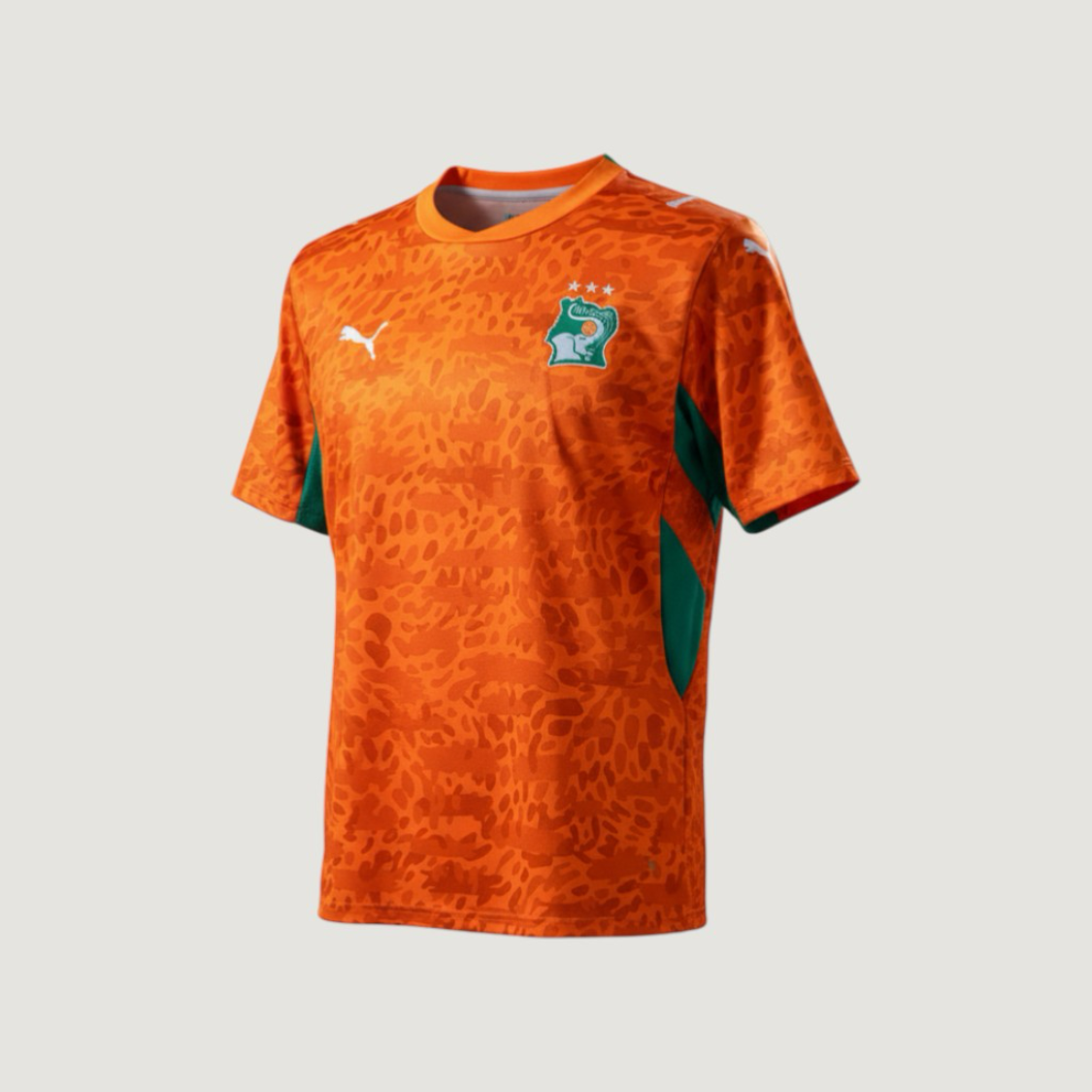 CÔTE D’IVOIRE – MAILLOT DOMICILE 2026/27 HOMME – ORANGE, VERT