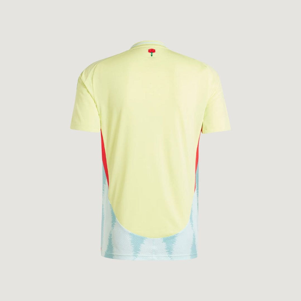NIGERIA - MAILLOT DOMICILE 24/25 - VERT