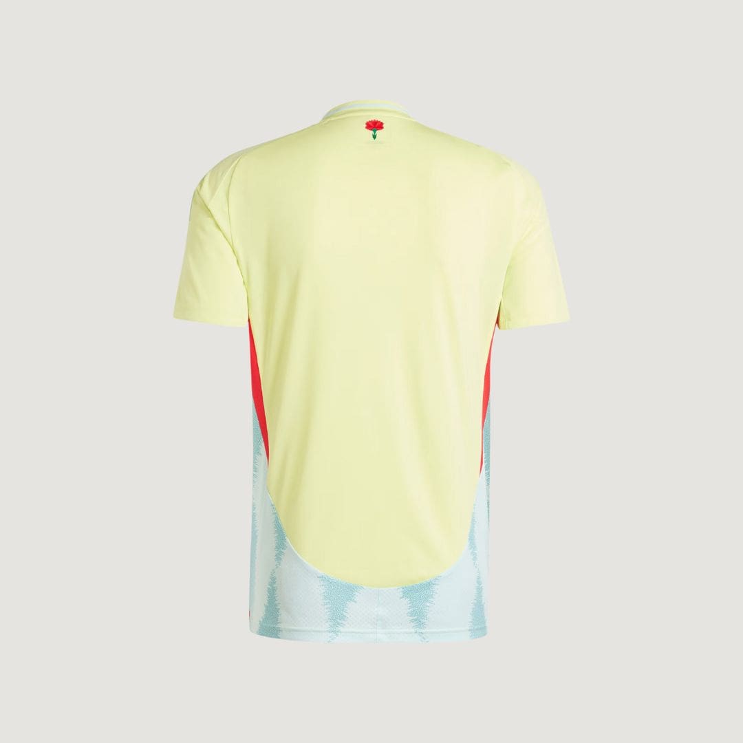 NIGERIA - MAILLOT DOMICILE 24/25 - VERT